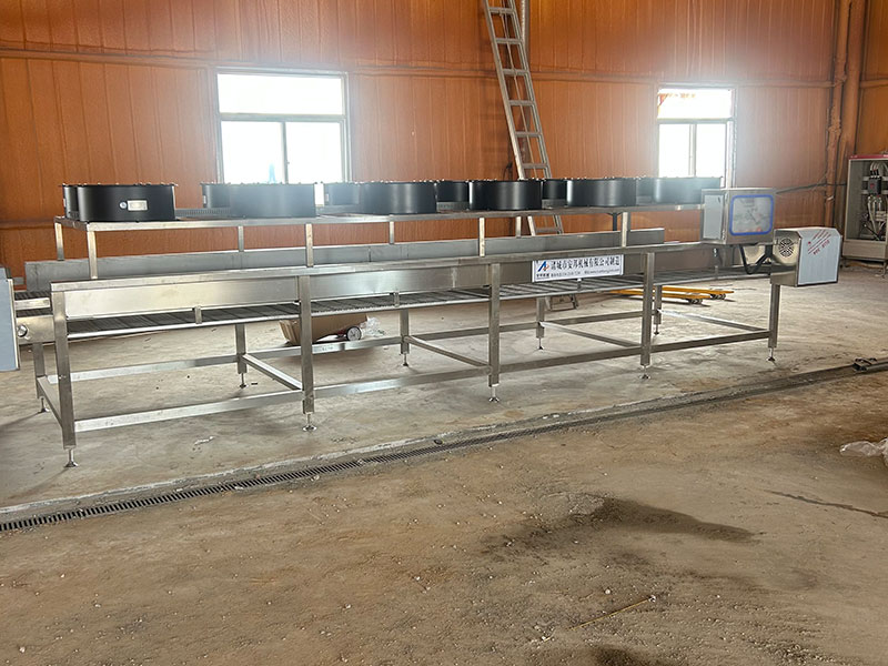 Ningxia daylily processing site